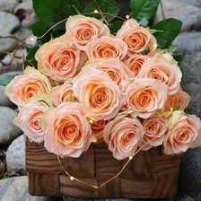 Схема вышивки «Розы»