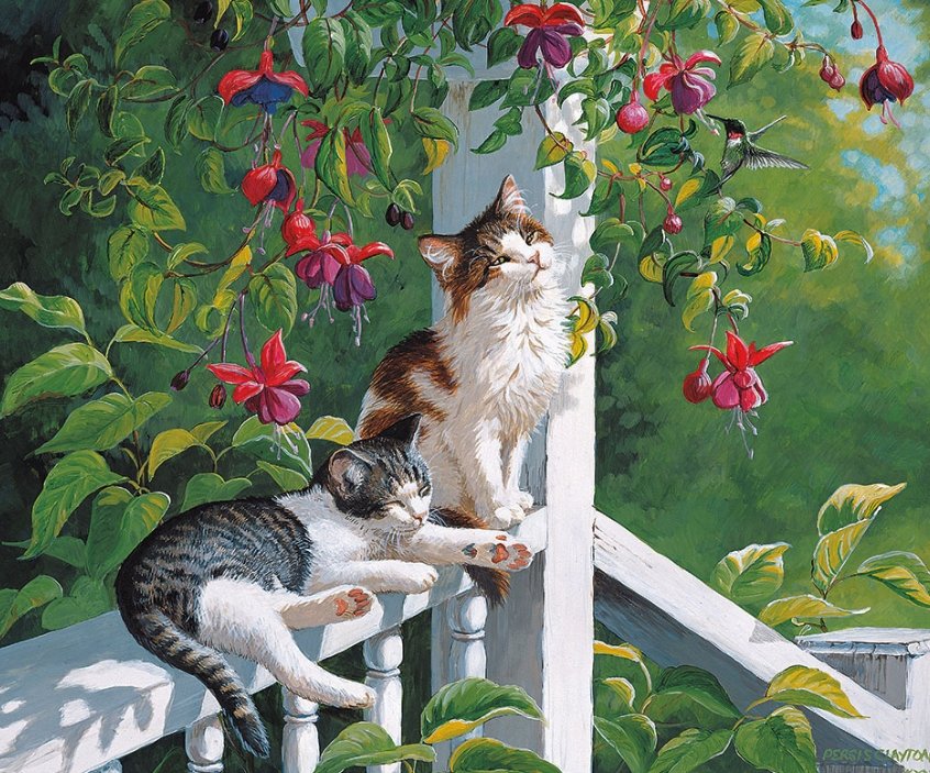 Кошки - крыльцо, цветы, коты - оригинал