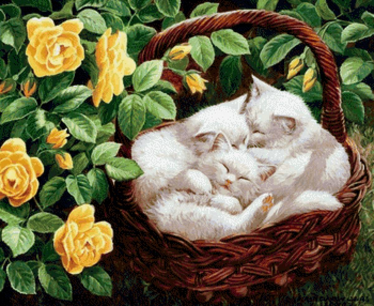 Котики - котята, коты, цветы - предпросмотр