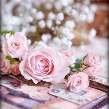 Схема вышивки «Розы»