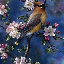 Схема вышивки «Птица»