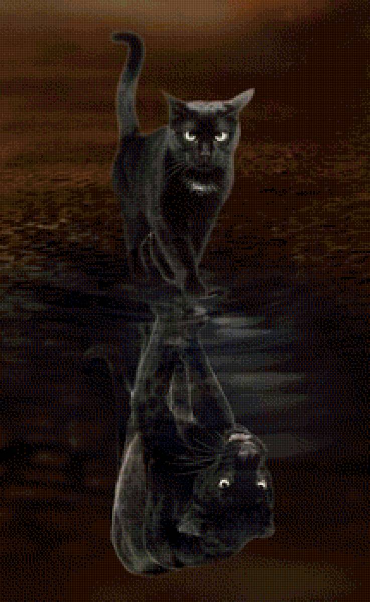 Пантера - пантера, котенок, животные, хищник - предпросмотр