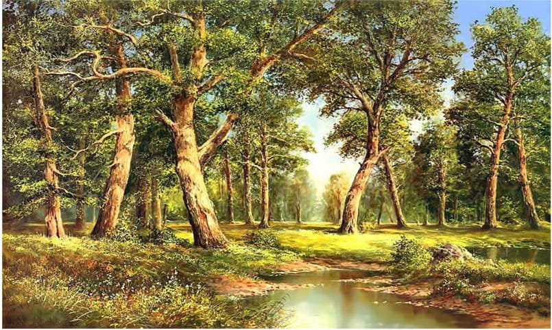 Моя роща - вода, дуб, солнечный день - оригинал