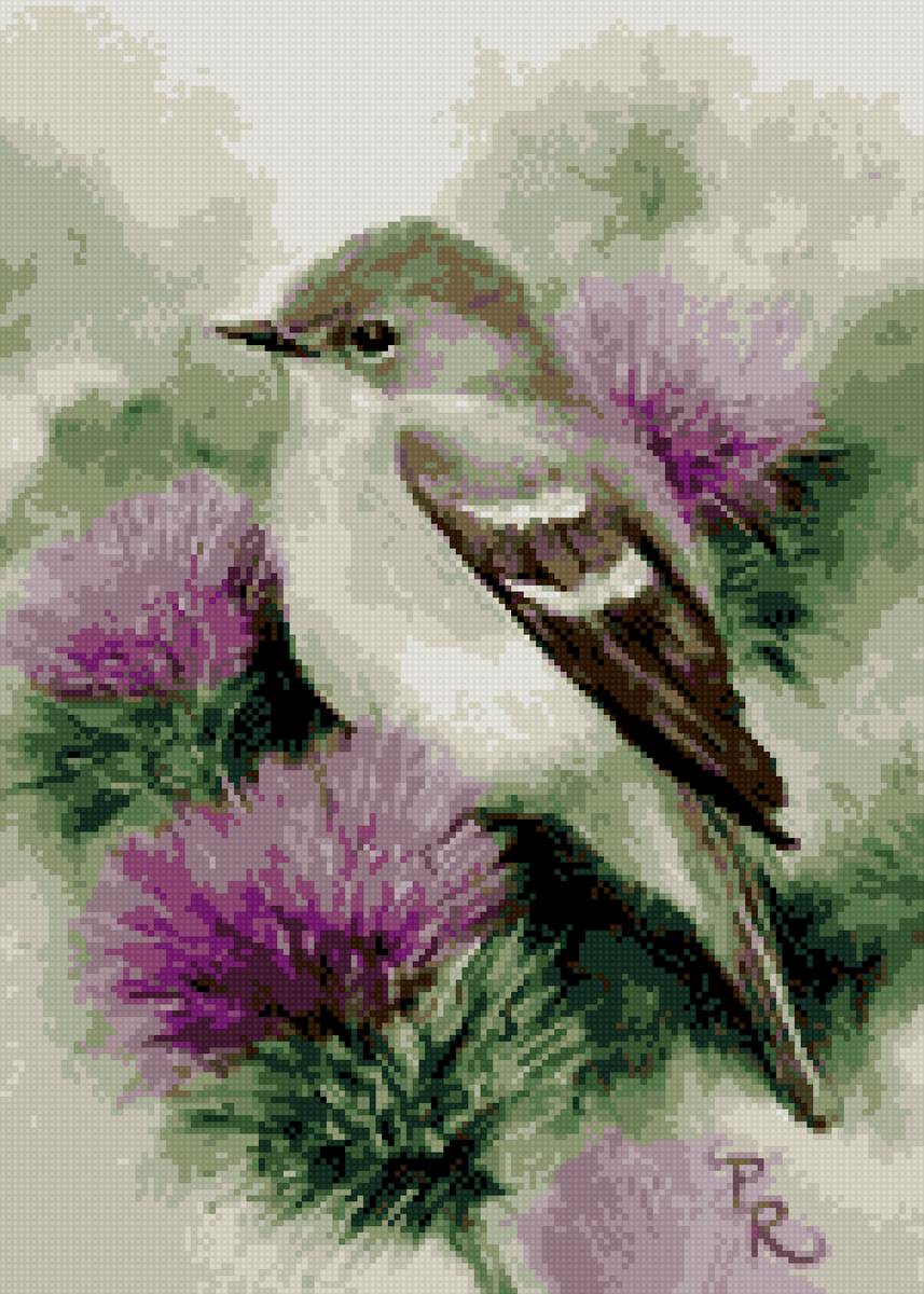 Воробей - птицы, цветы, dmc - предпросмотр