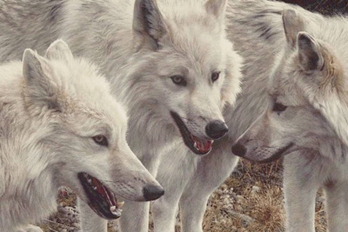 №2541868 - предпросмотр