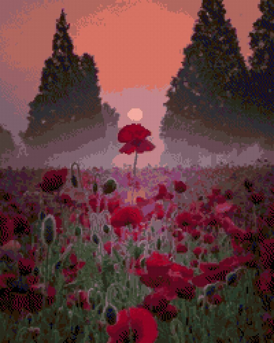 Маки - закат, солнце, маки, поле, цветы, dmc - предпросмотр