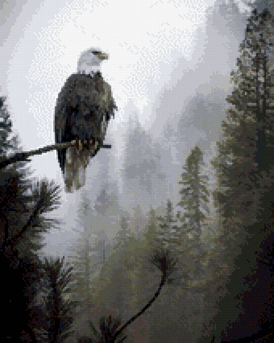 Орел - деревья, птицы, горы, цветы, лес - предпросмотр