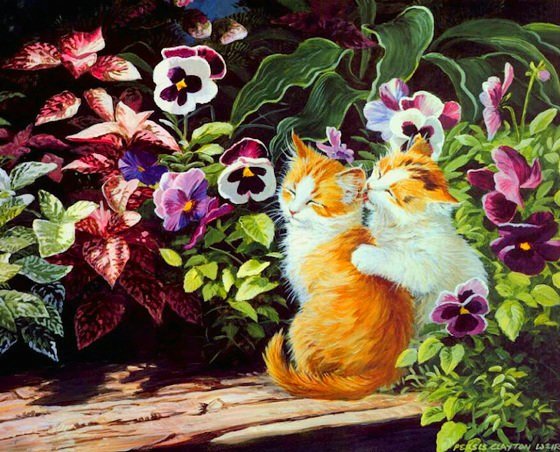 Котята в цветнике - котята, цветник, цветы, фиалки, анютины глазки, лето - оригинал