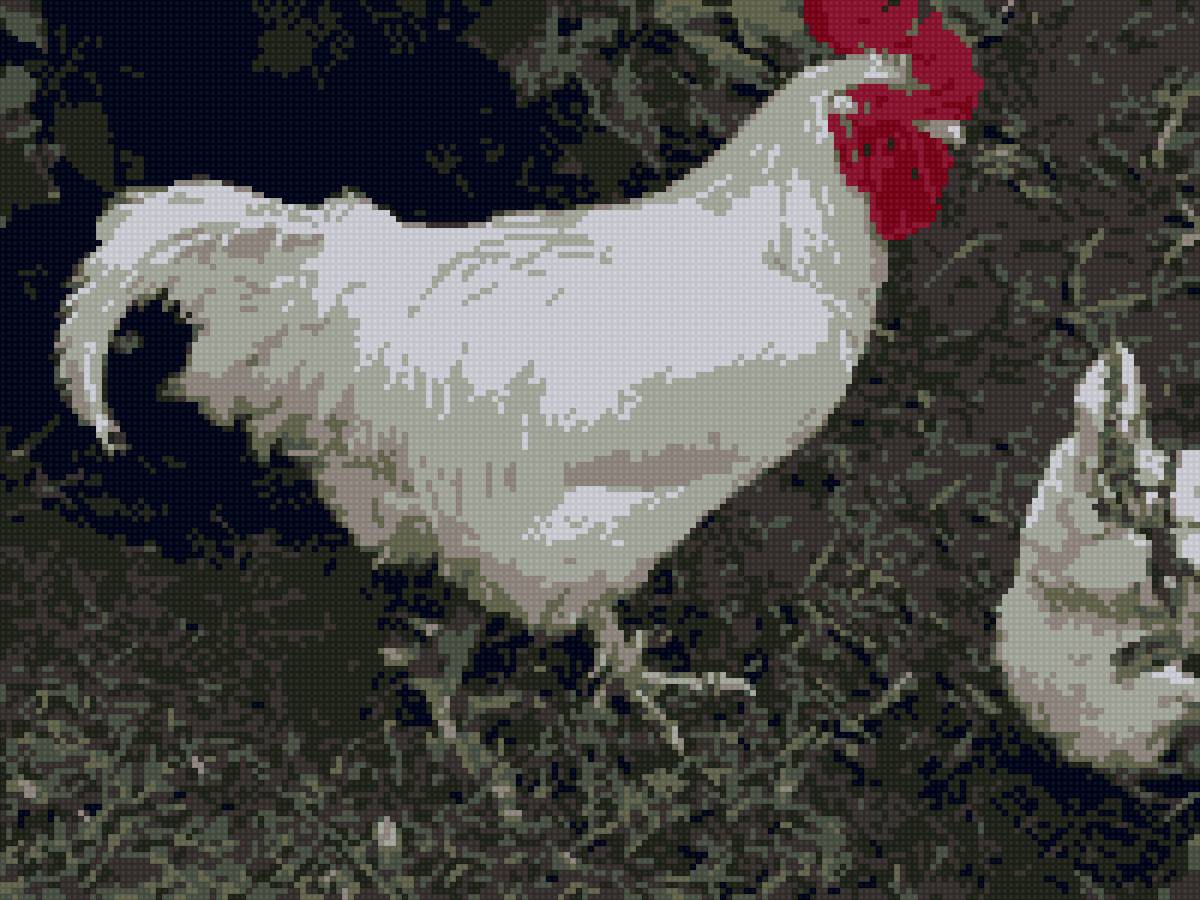 Юсси - петух - предпросмотр