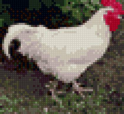 Юсси3 - петух - предпросмотр