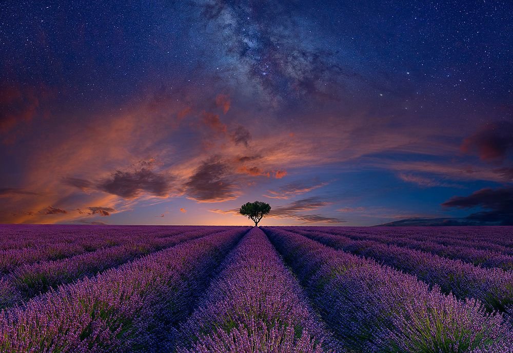 Лаванда - лаванда, закат - оригинал