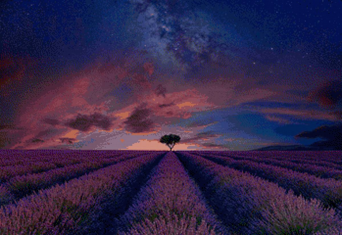 Лаванда - лаванда, закат - предпросмотр