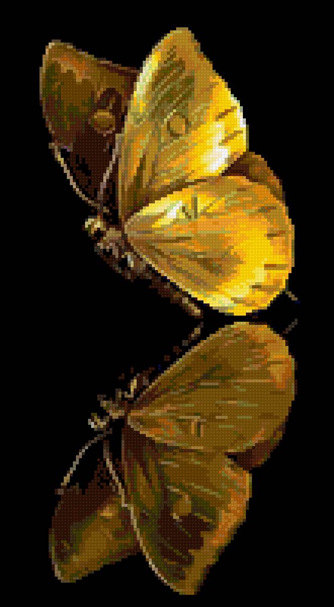 Бабочка - нежность, желтый, бабочка - предпросмотр