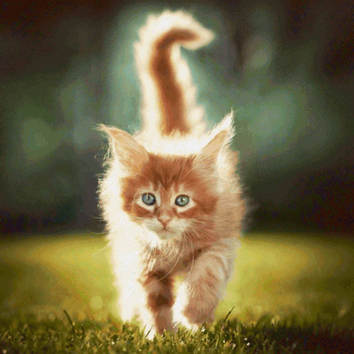Солнечный котик - рыжий котенок, котенок - предпросмотр