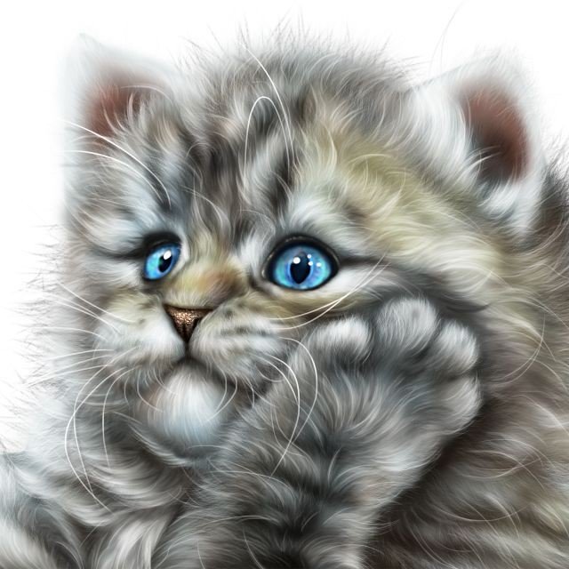 Серенький пушок - котик - оригинал