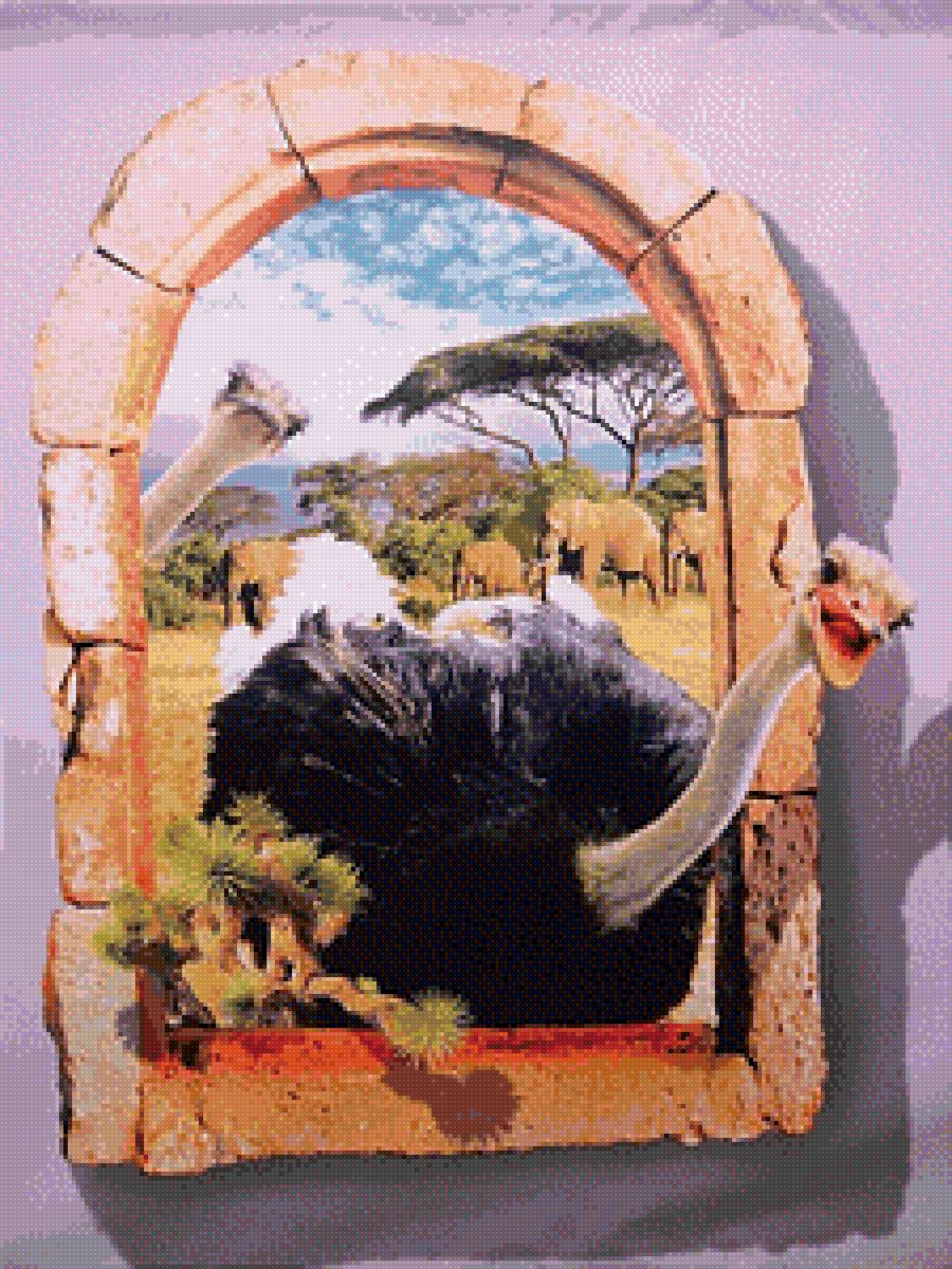 Африка - животные, красивые, природа, птицы - предпросмотр