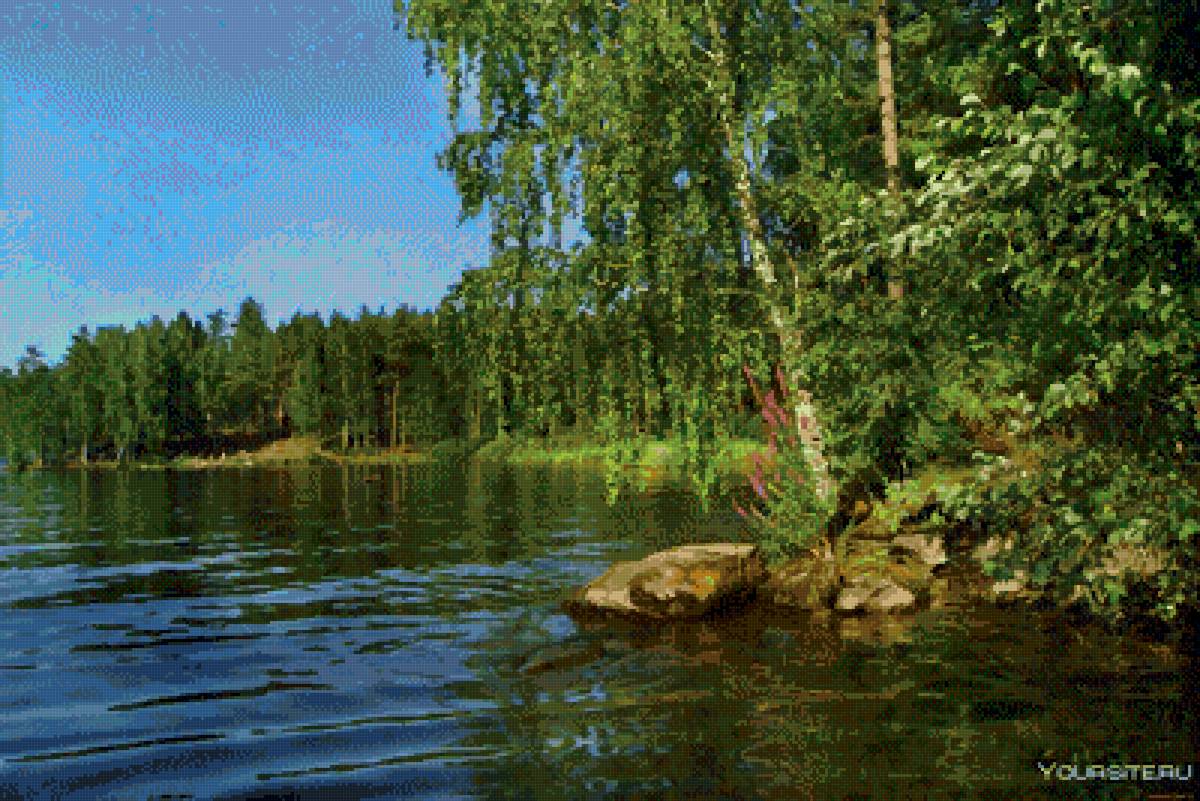 Береза и озеро - березки, вода - предпросмотр