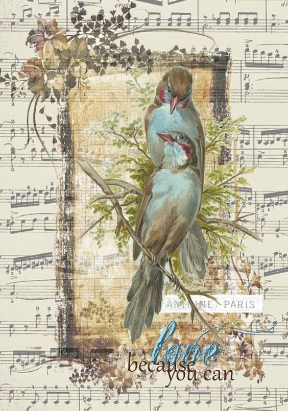 Птицы на нотах - птицы, ноты, музыка - оригинал