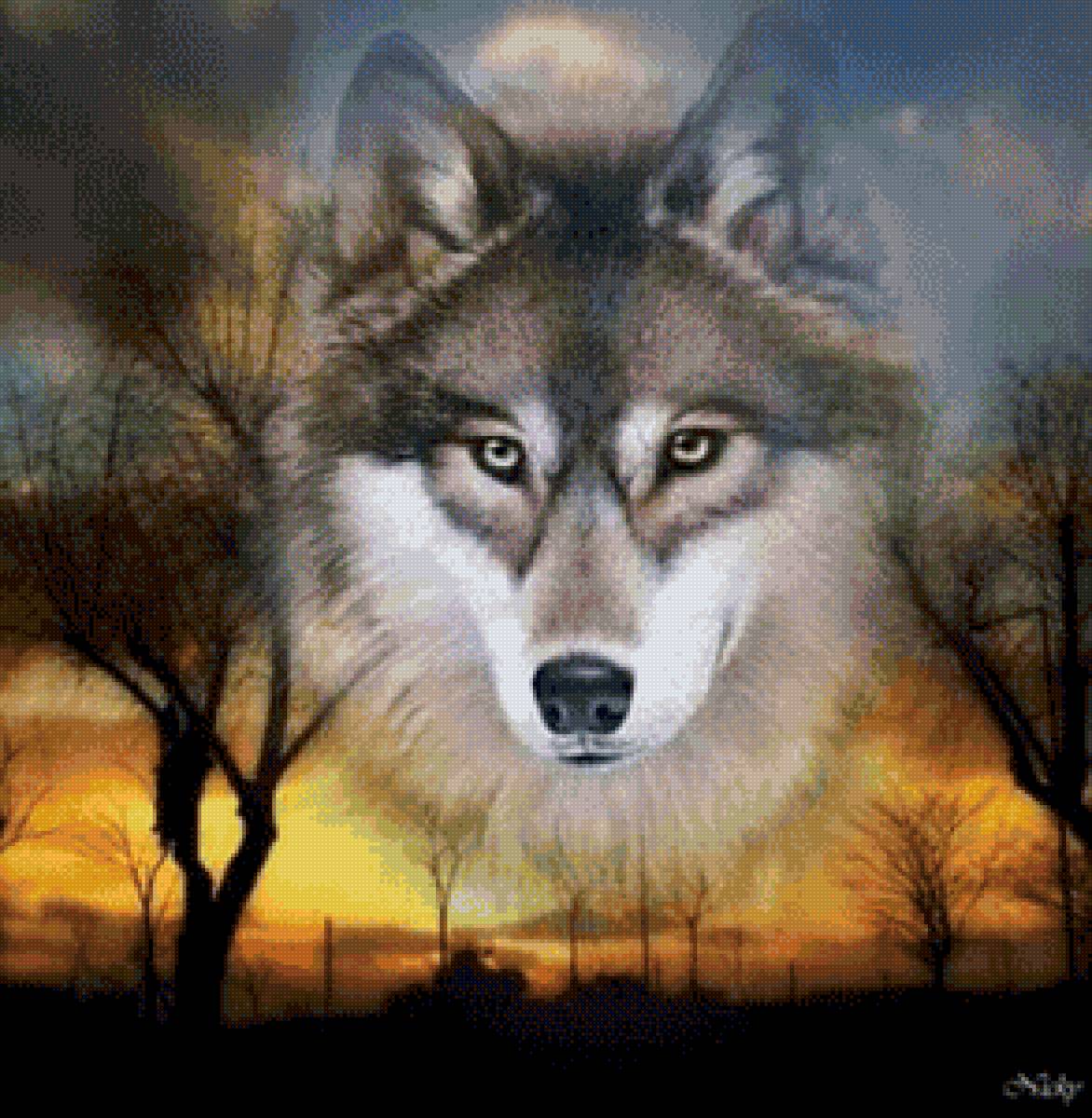 Волк - животные, хищник, волк - предпросмотр