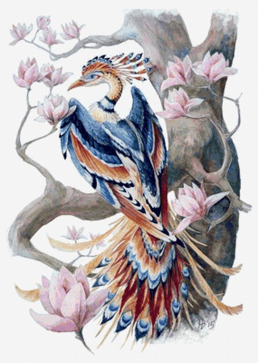 Райская птица - предпросмотр