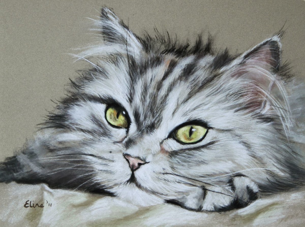 котенок - котенок - оригинал