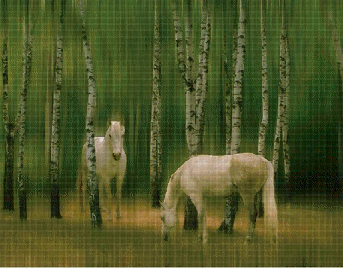 Гуляют животные невиданной красы. Картины с лошадьми на природе. Лошадь в березовой роще. Лошадь и березы. Лошади на фоне берез.