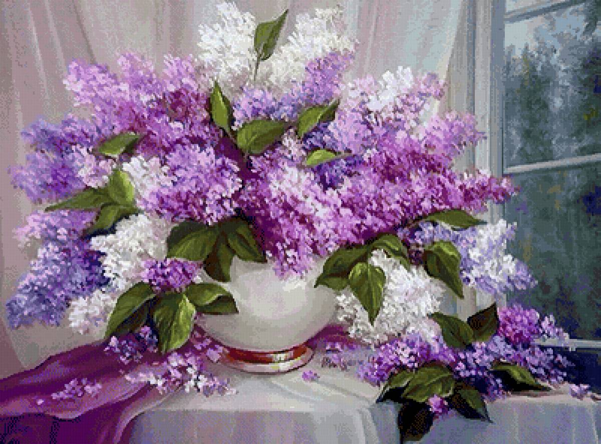 Сирень - сирень - предпросмотр