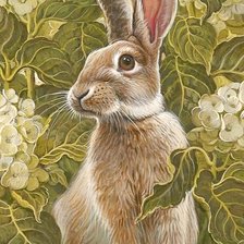 Схема вышивки «Заяц»