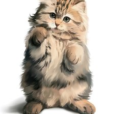 Схема вышивки «Котик»