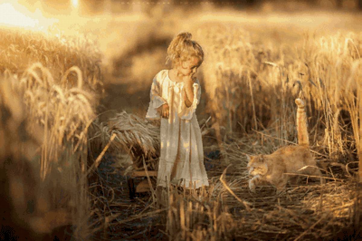 Девочка и кот в пшеничной поле - кот, девочка, поле, пшеница, монохром - предпросмотр