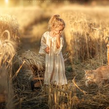 Девочка и кот в пшеничной поле
