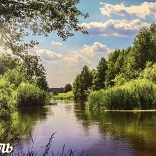 Схема вышивки «Пейзаж летний»