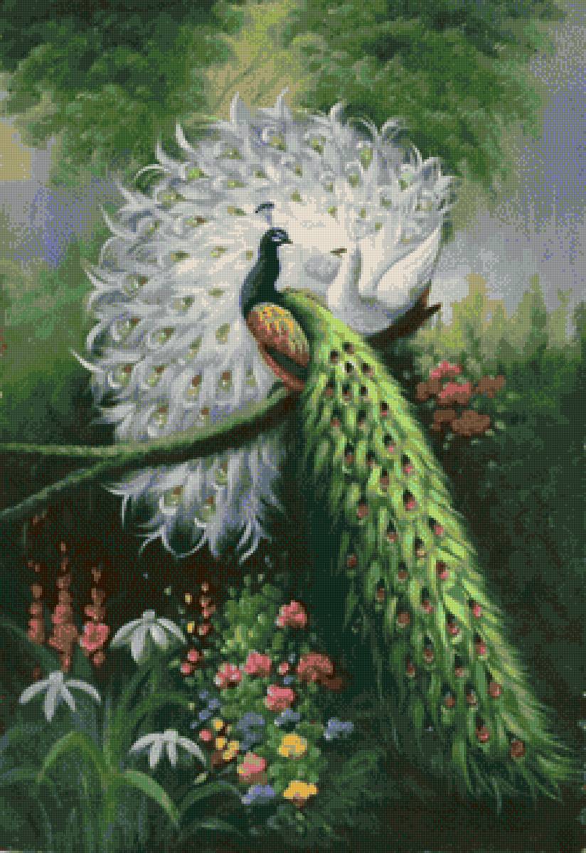 №2544572 - предпросмотр