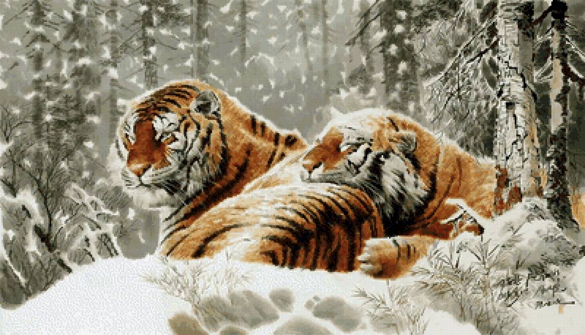 Тигры на отдыхе - снег, зима, тигры, лес, отдых - предпросмотр