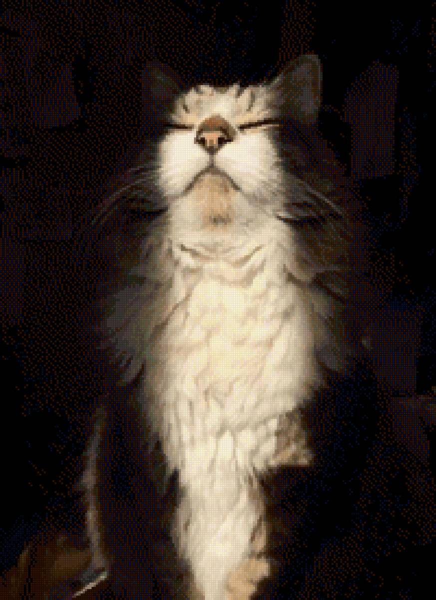 Кот - предпросмотр