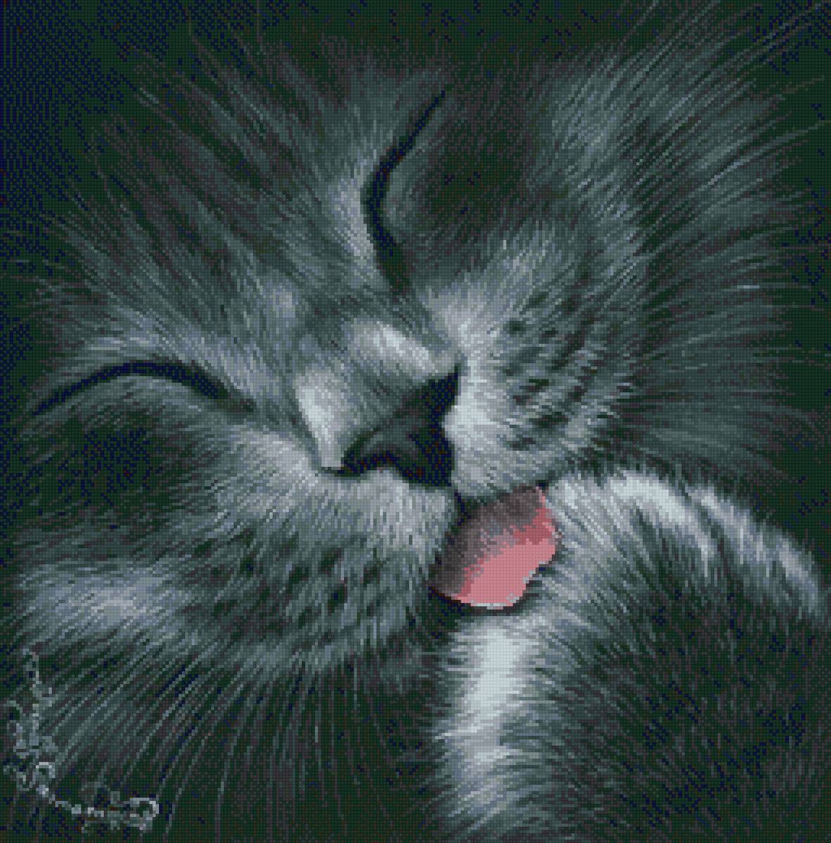 Кот - коты - предпросмотр