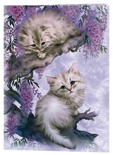 Котейки - котята - оригинал