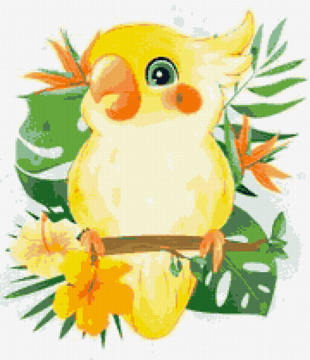 Попугай - попугай - предпросмотр