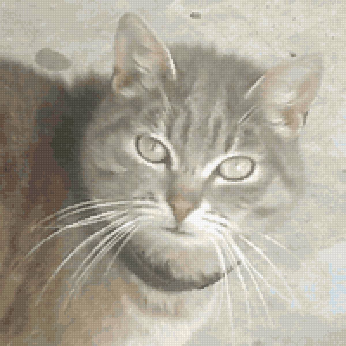 Любимый котик Сергей Сергеевич - животные, кот - предпросмотр
