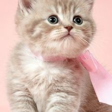 Схема вышивки «Милашка»