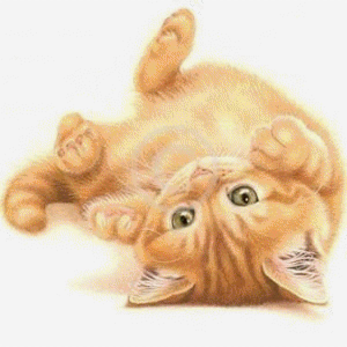 ,,рыжик,, - кот 🐱 - предпросмотр