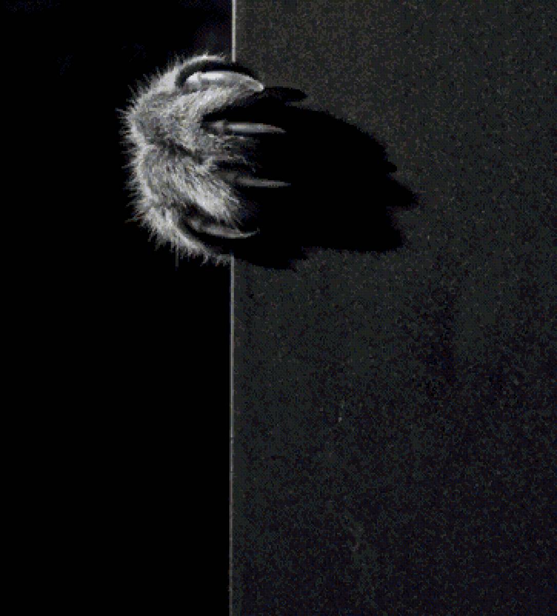 А за углом опасность - кот, монохром, угол, лапа, когти - предпросмотр