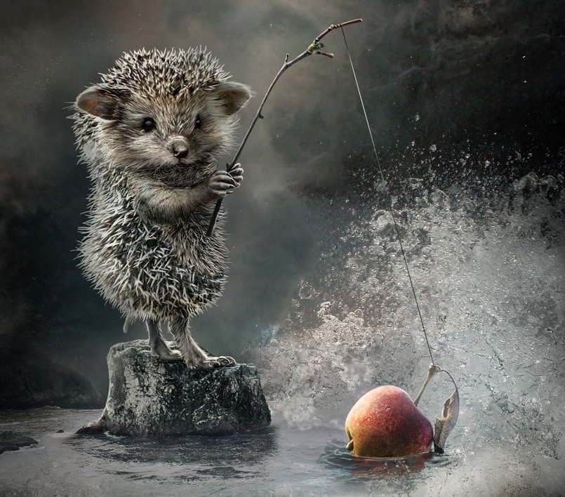 №2546555 - оригинал