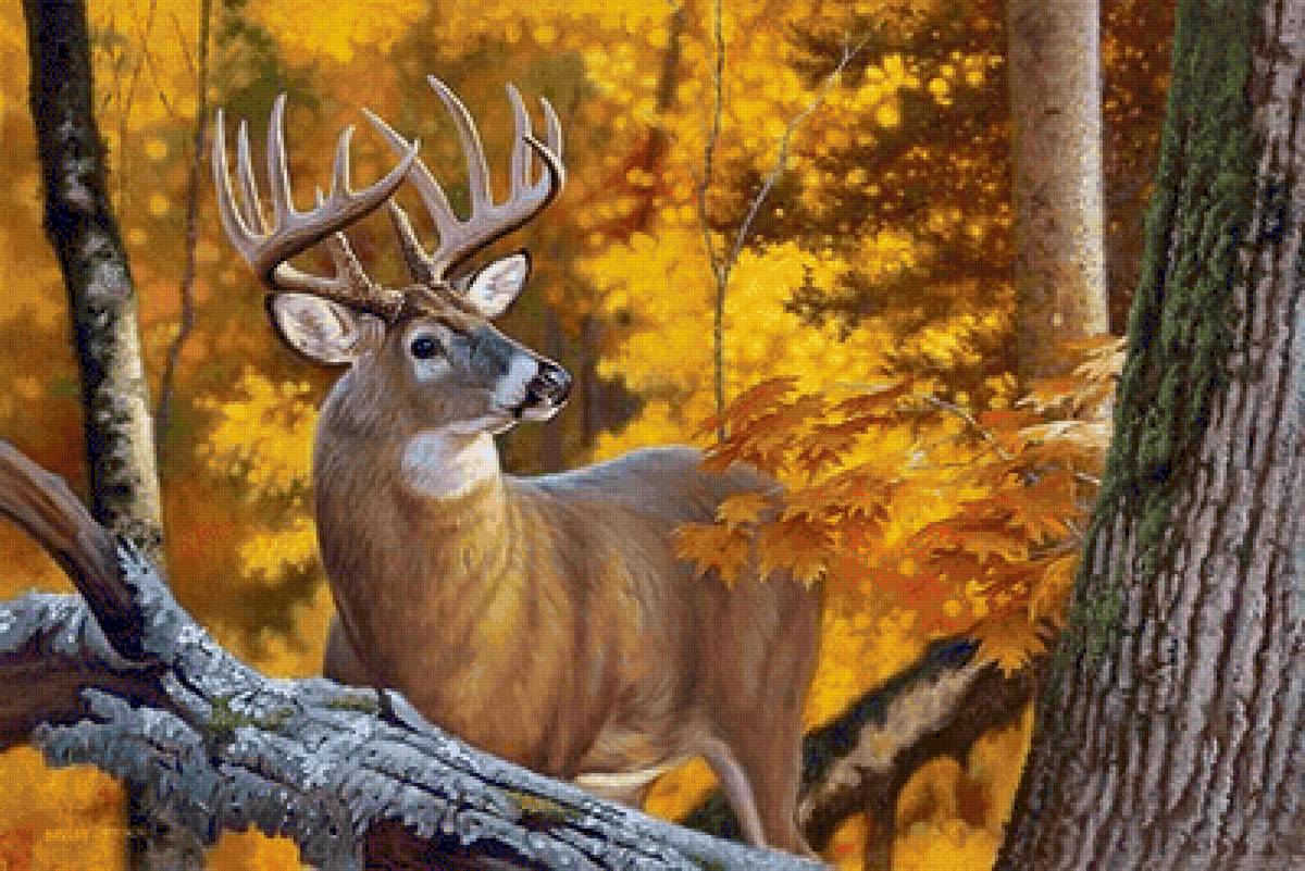 №2546820 - предпросмотр