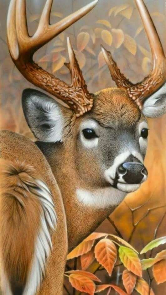 №2546827 - оригинал