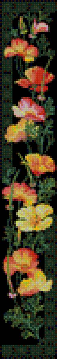 Калифорнийский мак - мак - предпросмотр