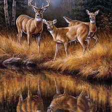 Схема вышивки «№2547124»