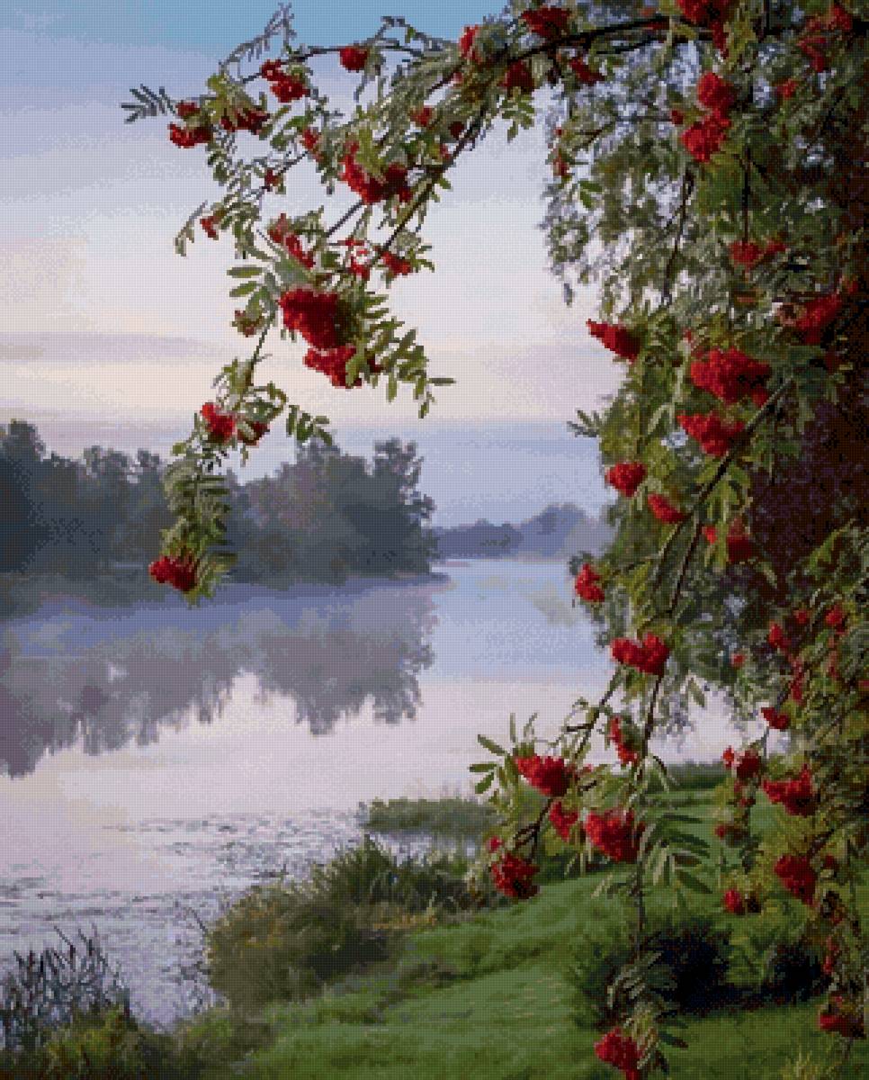 Утро - туман, рябина, река - предпросмотр