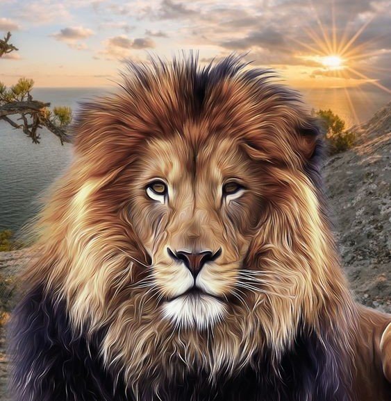 дикие - оригинал