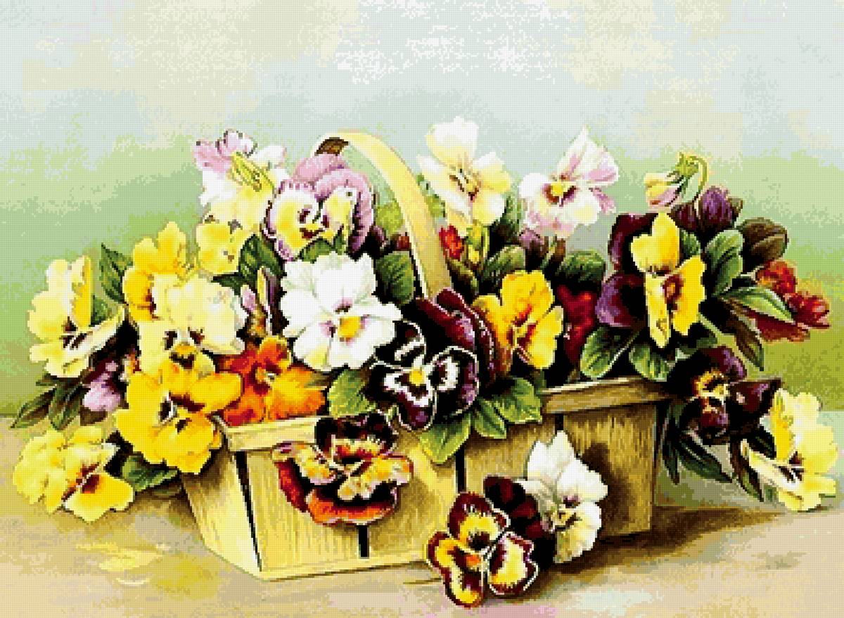 Анютины глазки - цветы, корзинка, анютины глазки, короб, фиалки - предпросмотр